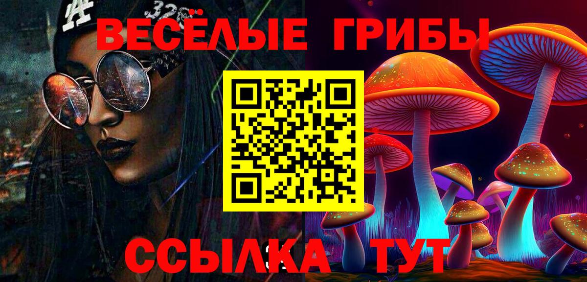 Псилоцибиновые грибы прущие грибы  Вход с VPN  Егорьевск 
