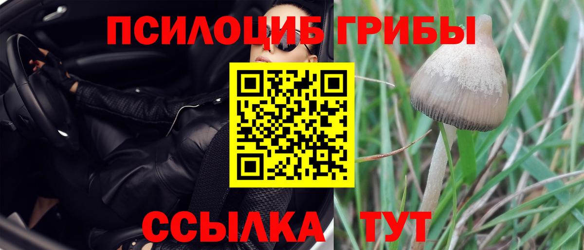 Псилоцибиновые грибы Magic Shrooms  наркошоп  Псилоцибиновые грибы Cubensis  Егорьевск 